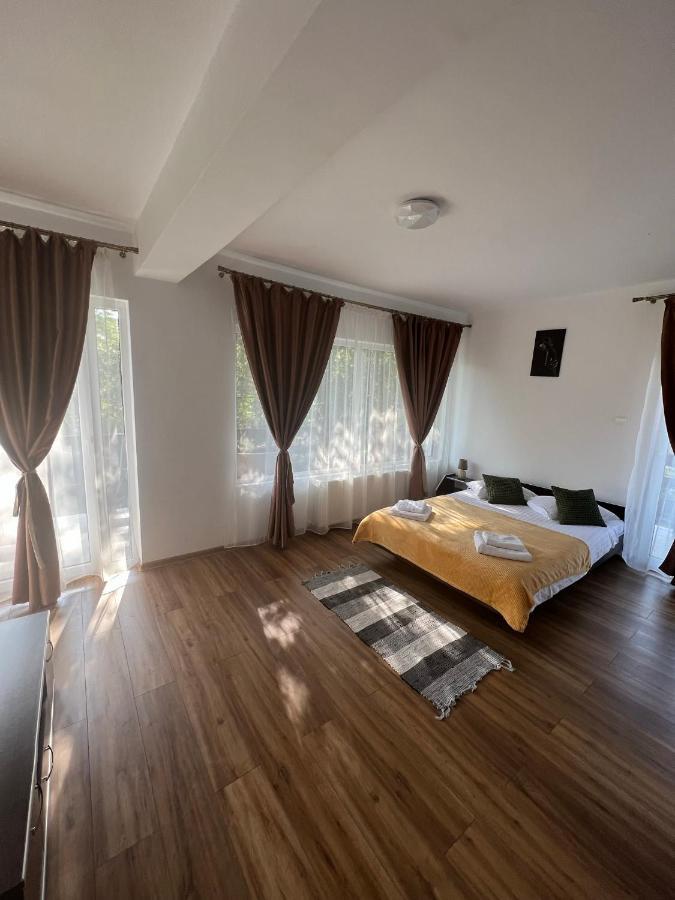 Vibrant Guest house Bran (Brasov)