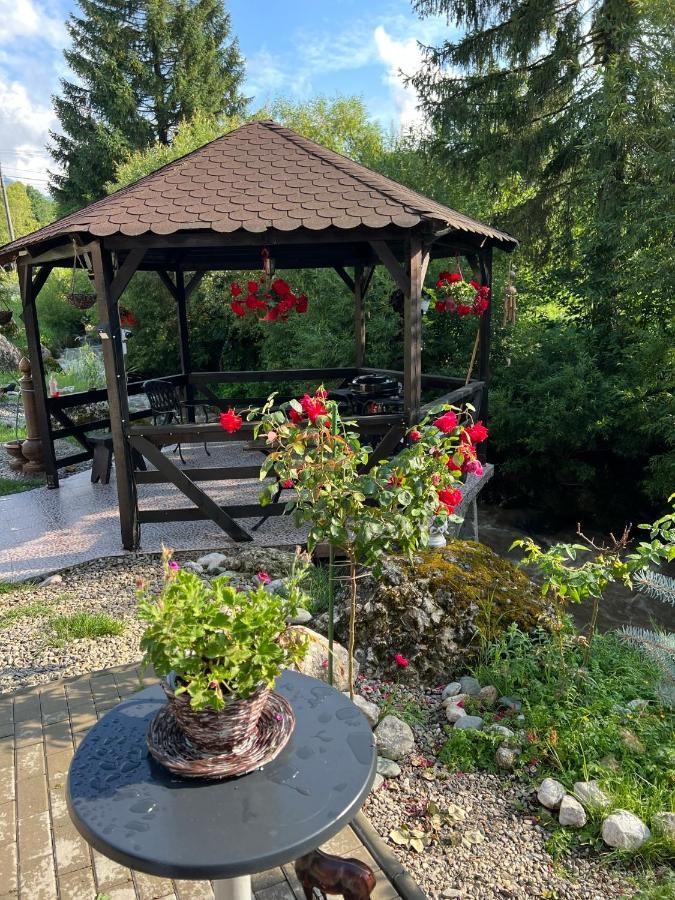 Guest house Vibrant