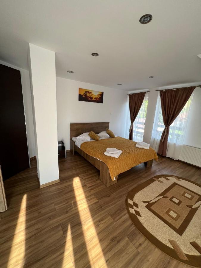 Guest house Vibrant Bran (Brasov)
