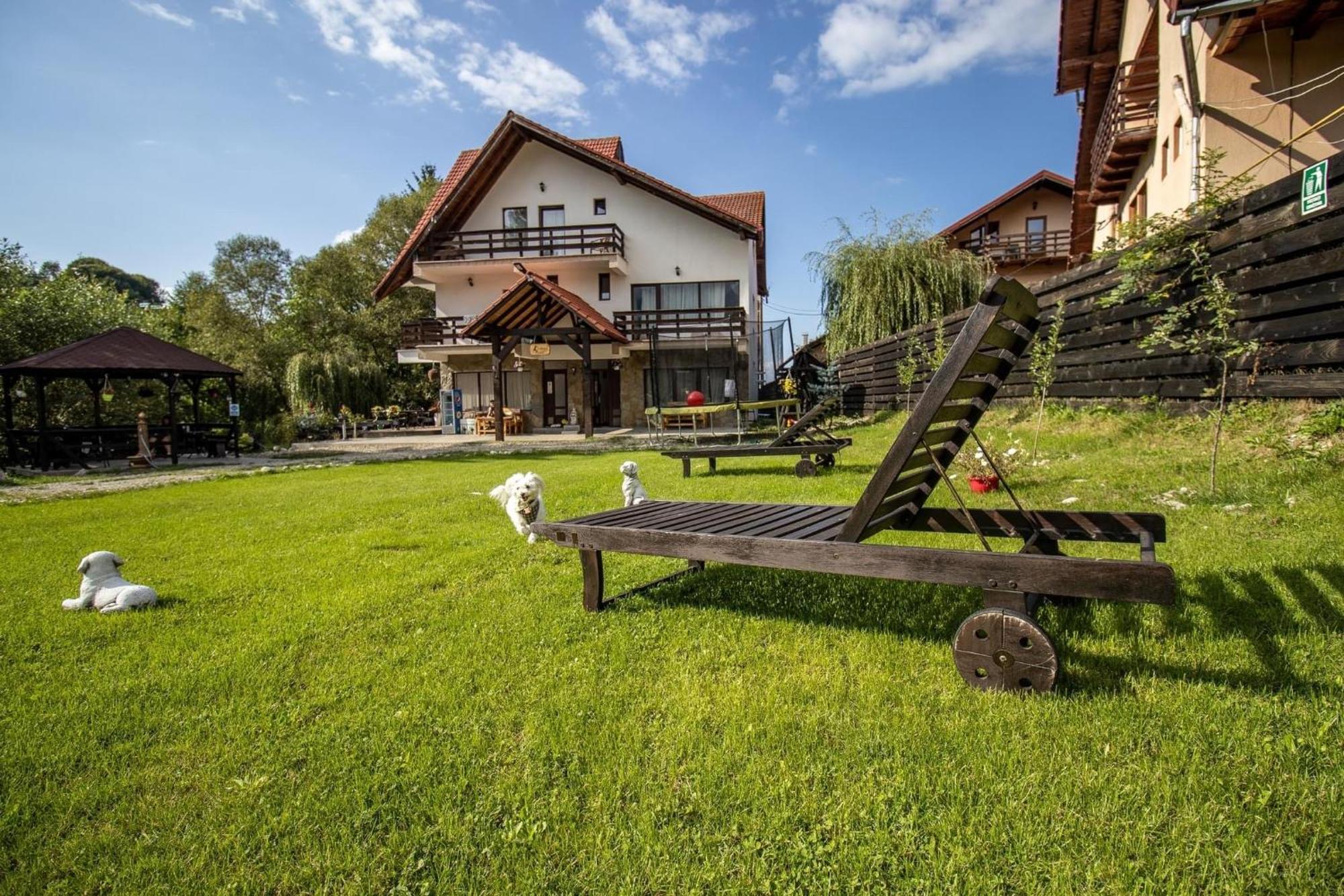 Guest house Vibrant